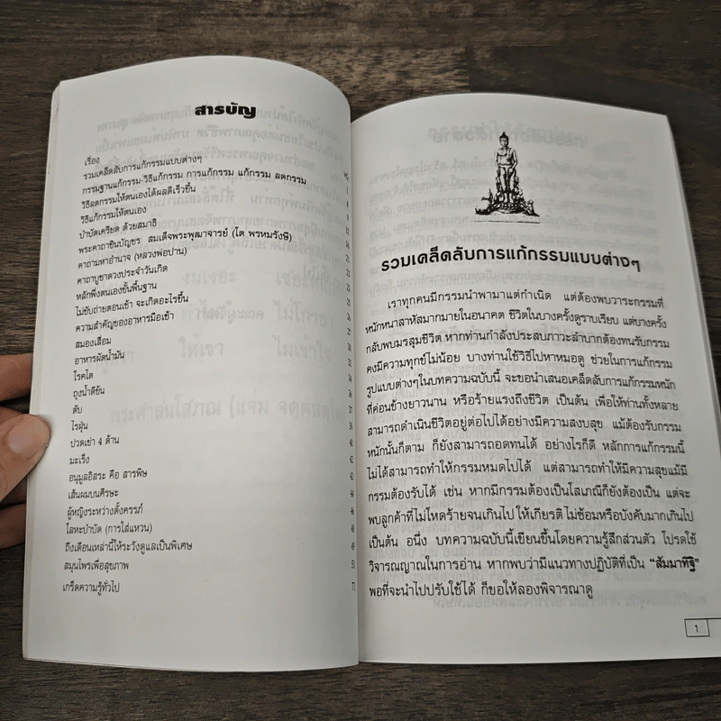 เคล็ดวิธี แก้กรรม-ปัญหาชีวิต กินอย่างไร-ไร้โรคภัย รูปที่ 8