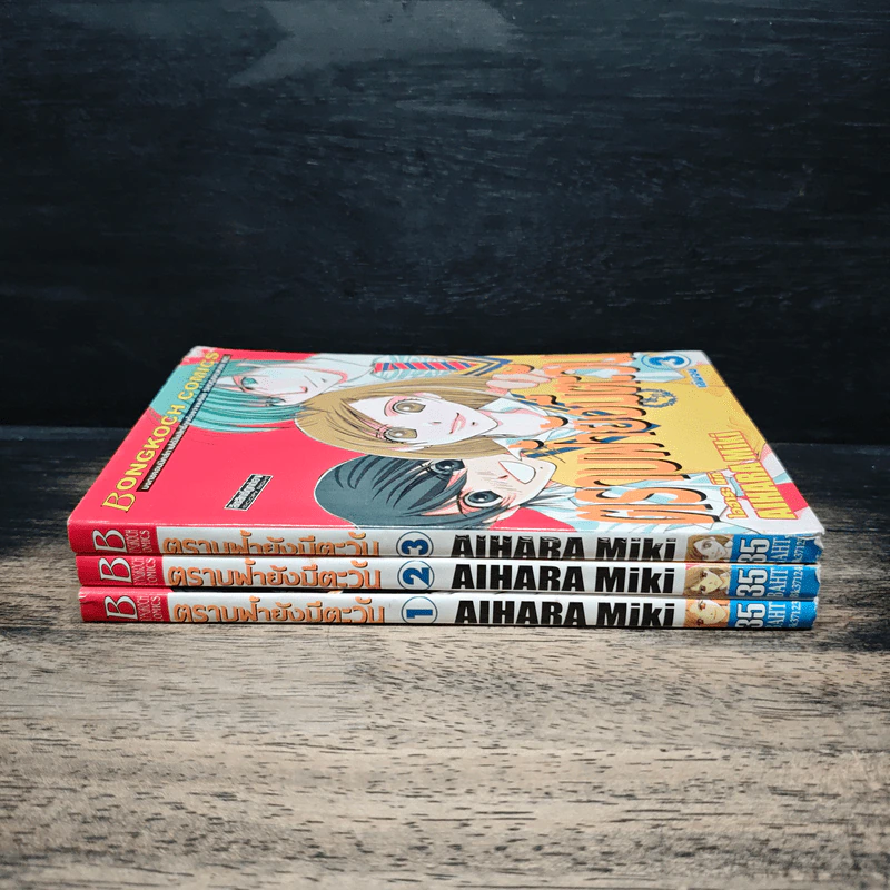 ตราบฟ้ายังมีตะวัน 3 เล่มจบ - Aihara Miki รูปที่ 2
