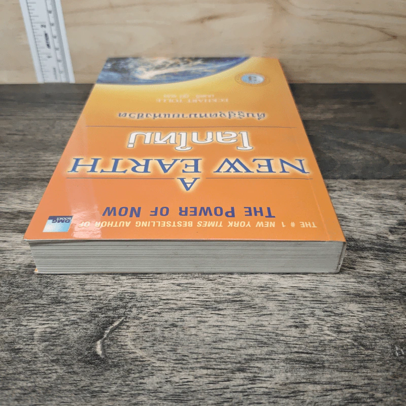 A New Earth โลกใหม่ ตื่นรู้สู่จุดหมายแห่งชีวิต - Eckhart Tolle รูปที่ 4