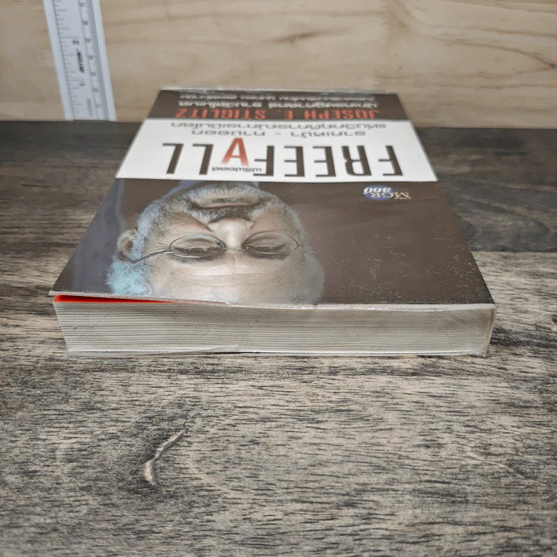Freefall: รากเหง้า-ทางออกแห่งวิกฤติการณ์การเงินโลก - Joseph E. Stiglitz รูปที่ 4
