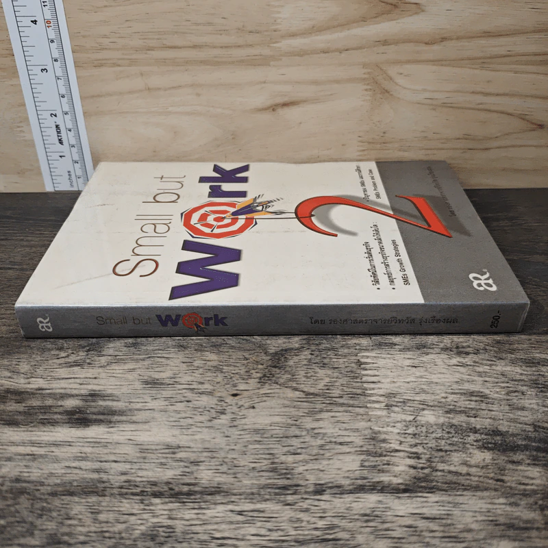 Small but work 2 - รองศาสตราจารย์วิทวัส รุ่งเรืองผล รูปที่ 2