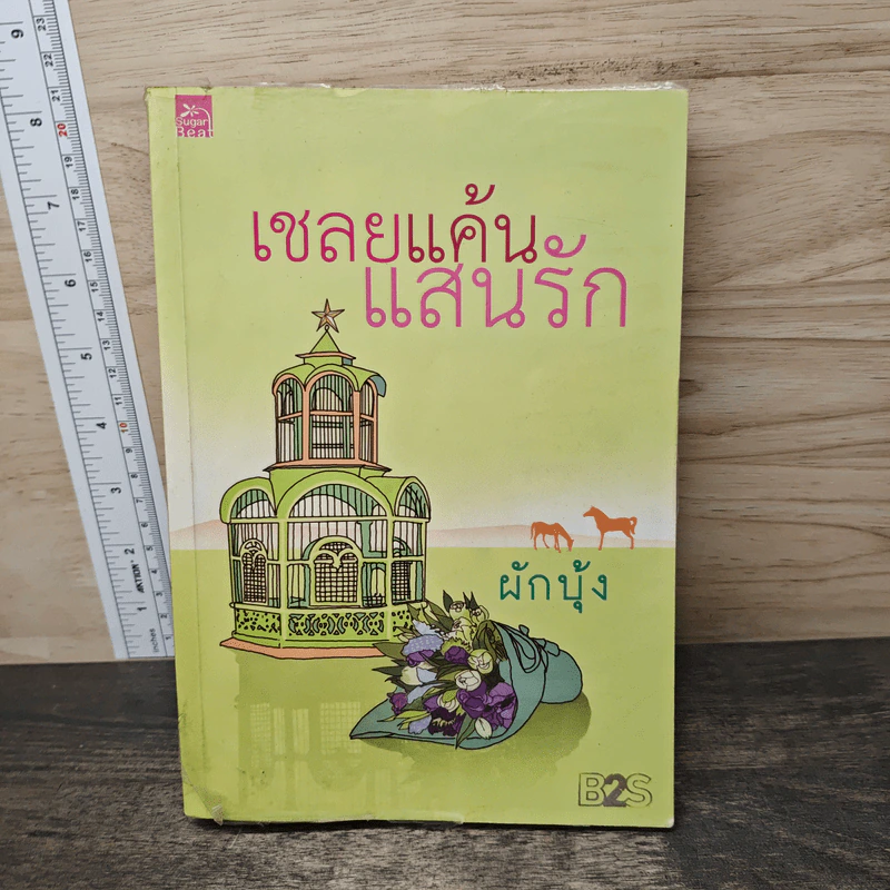 เชลยแค้นแสนรัก - ผักบุ้ง รูปที่ 1