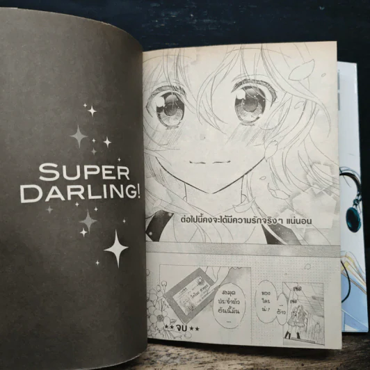 Superstar Darling! ซุปเปอร์ ดาร์ลิ่ง! 2 เล่มจบ รูปที่ 9