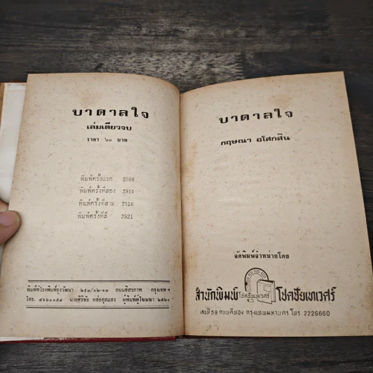บาดาลใจ - กฤษณา อโศกสิน รูปที่ 6
