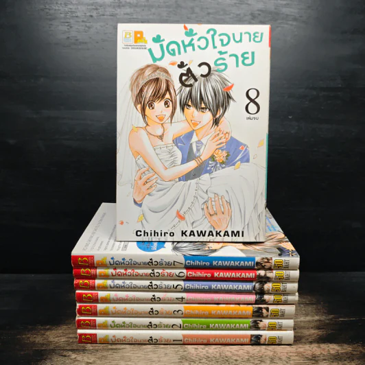 มัดหัวใจนายตัวร้าย 8 เล่มจบ รูปที่ 1