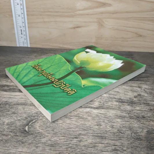 ธัมมานุธัมมปฏิปัตติ รูปที่ 3