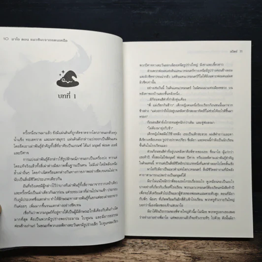 มาโอ ตอน แมวหิมะจากแดนเหนือ - ลวิตร์ รูปที่ 7