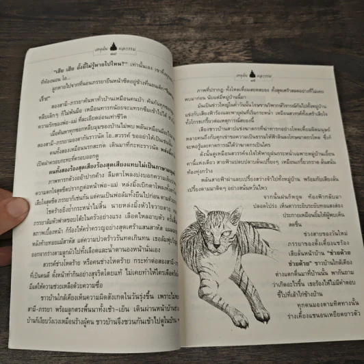 เหตุต้นผลกรรม - แก้วชาย ธรรมาชัย รูปที่ 7