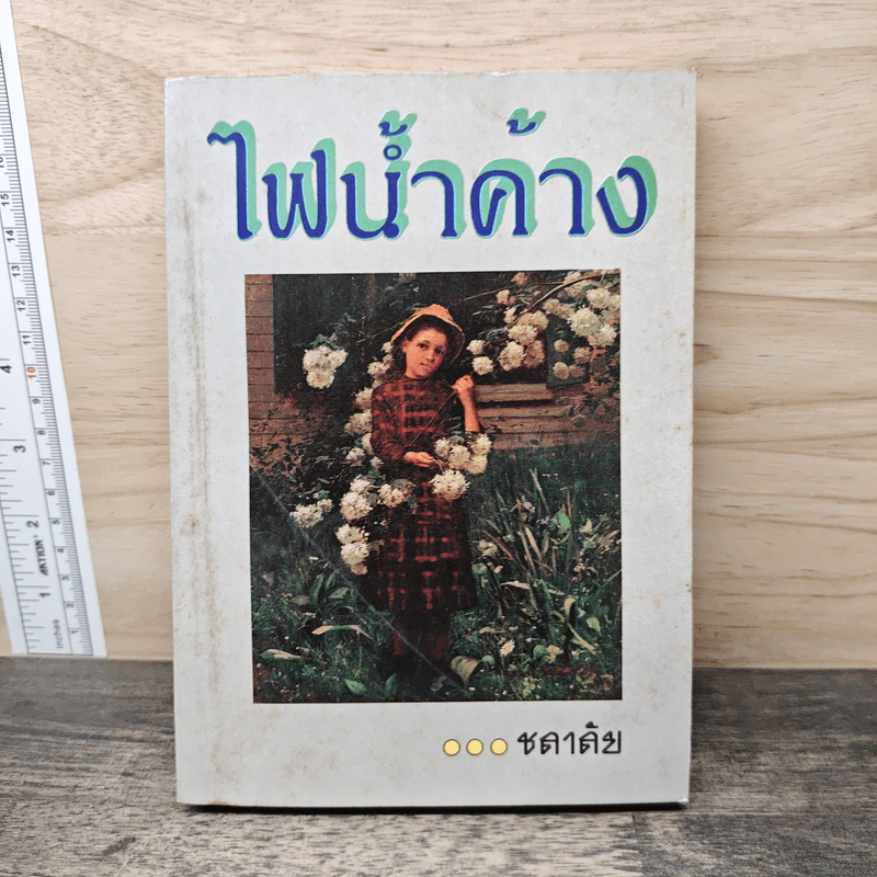 ไฟน้ำค้าง - ชลาลัย รูปที่ 1