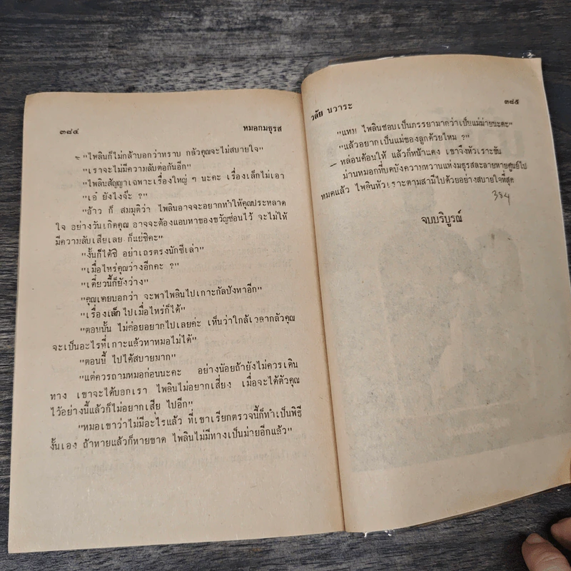 หมอกมธุรส - วลัย นวาระ รูปที่ 8