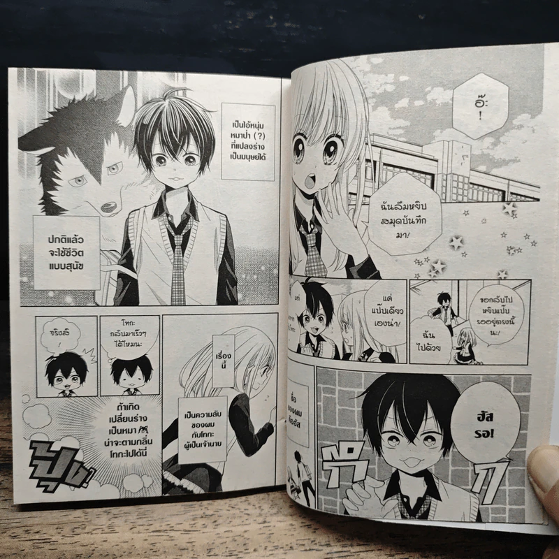 เจ้าชายหมาป่ากับยัยลูกแกะ 5 เล่มจบ - Konomi Wagata รูปที่ 6