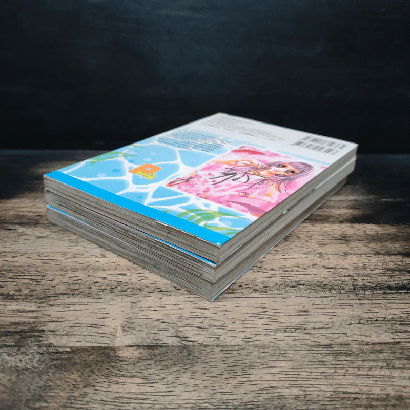 คลื่นรักใต้ผืนน้ำ 3 เล่มจบ - Minami Kanan รูปที่ 3