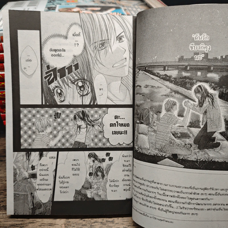 เมื่อความรักมาทักทาย 15 เล่มจบ + Official Fan Book - Kanan Minami รูปที่ 6