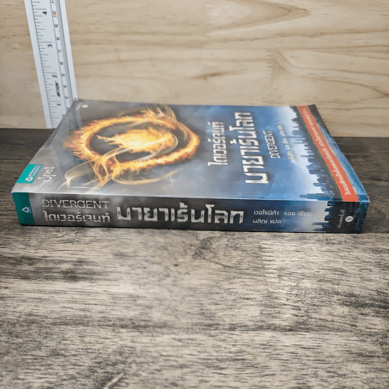 ไดเวอร์เจนท์ มายาเร้นโลก : Divergent - Veronica Roth (เวอโรนิก้า รอธ) รูปที่ 2