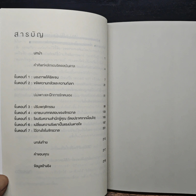 Manifest Dive Deeper ดำดิ่งลึกซึ้ง ไปให้ถึงทุกปรารถนา - Roxie Nafousi รูปที่ 7