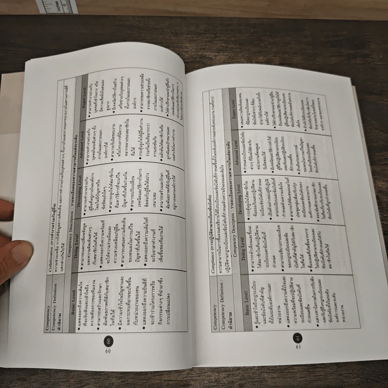 Competency Dictionary - ดร.อาภรณ์ ภู่วิทยพันธุ์ รูปที่ 8