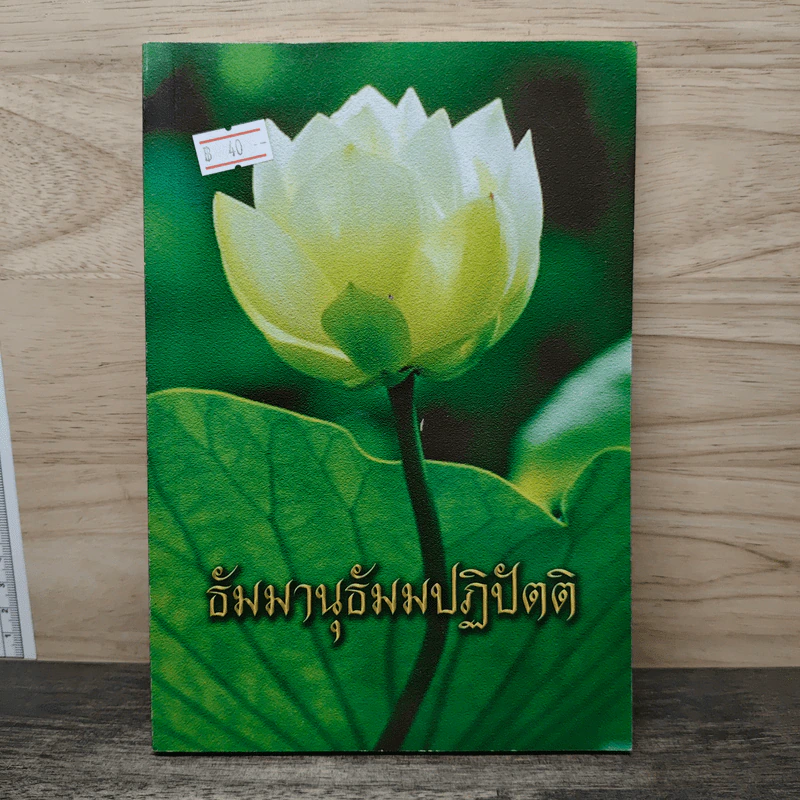 ธัมมานุธัมมปฏิปัตติ รูปที่ 1