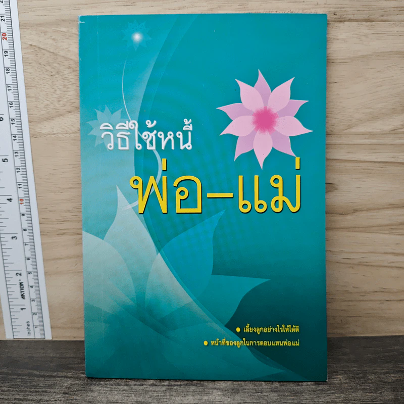 วิธีใช้หนี้พ่อ-แม่ รูปที่ 1