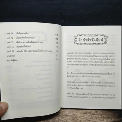 โบกมือลาอาการใบ้กิน - Debra Fine รูปที่ 7