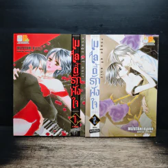 เมโลดี้รักฝังใจ 2 เล่มจบ - Kyoko MIZUTANI