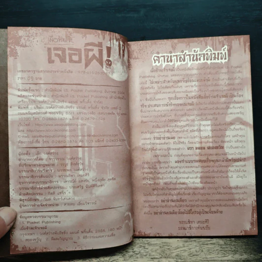 เมื่อข้าพเจ้าเจอผี รูปที่ 6