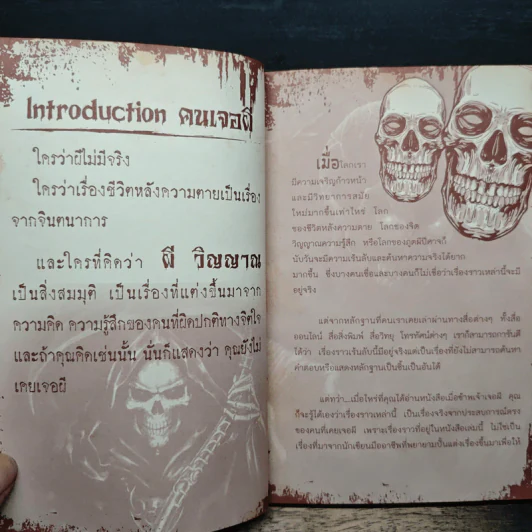 เมื่อข้าพเจ้าเจอผี รูปที่ 8