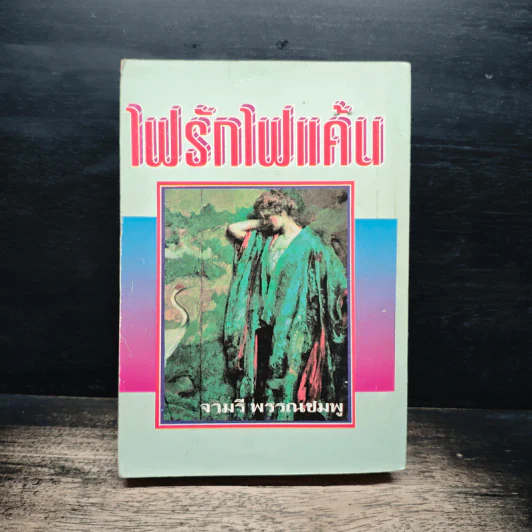 ไฟรักไฟแค้น - จามรี พรรณชมพู รูปที่ 2