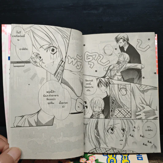 ขอรักสักนิดจะผิดมั้ย 4 เล่มจบ รูปที่ 6