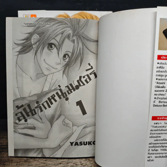 ลุ้นรักหนุ่มเชอรี่ 2 เล่มจบ - Yasuko รูปที่ 6