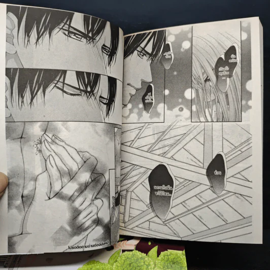 รักร้ายของนายบอดี้การ์ด เล่ม 1-7 รูปที่ 8