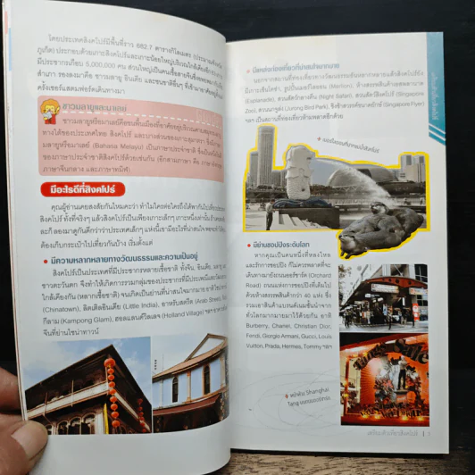 คู่มือเที่ยวตามใจชอบ สิงคโปร์ รูปที่ 8