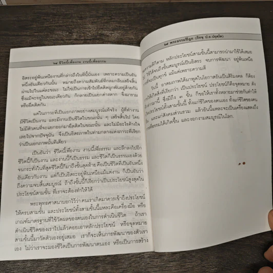 งานเพื่อความสุขและแก่นสารของชีวิต - พระธรรมปิฎก (ป.อ.ปยุตโต) รูปที่ 10