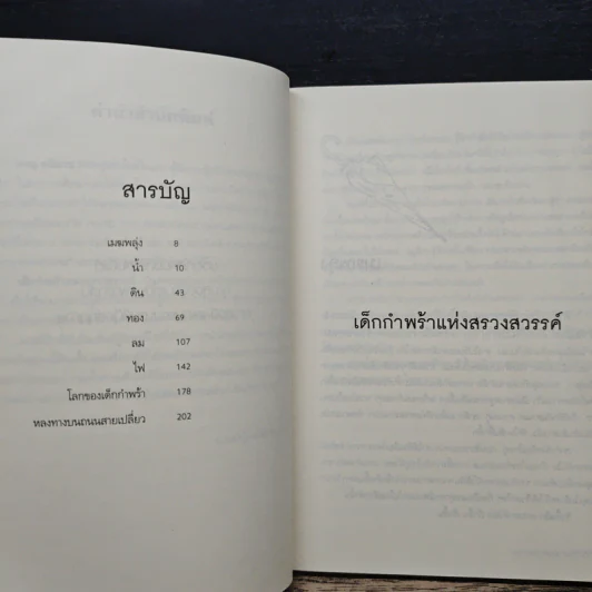 เด็กกำพร้าแห่งสรวงสวรรค์ - ภาณุ ตรัยเวช รูปที่ 7