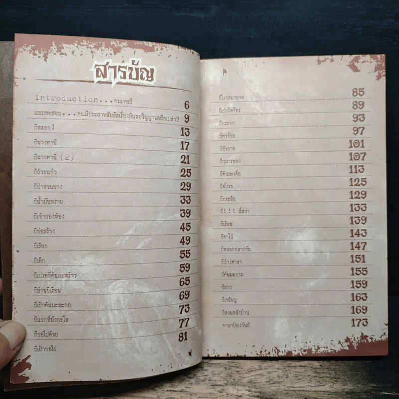 เมื่อข้าพเจ้าเจอผี รูปที่ 7