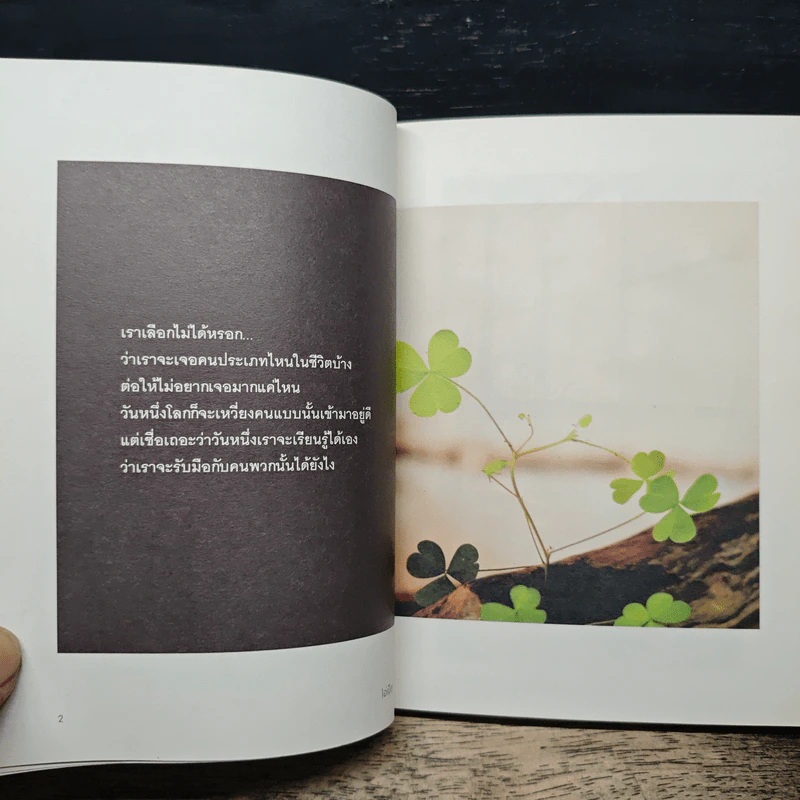 ถ้าเดินเข้าไปใกล้แล้วมันแย่ ก็แค่ถอยออกมา - ไอ่เป็ด รูปที่ 8