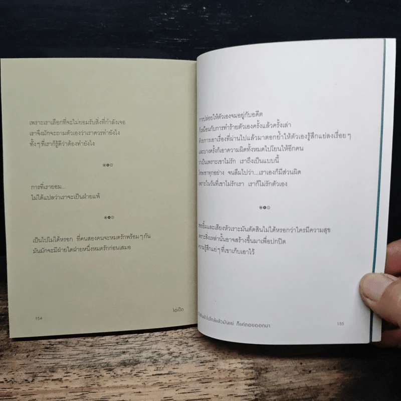 ถ้าเดินเข้าไปใกล้แล้วมันแย่ ก็แค่ถอยออกมา - ไอ่เป็ด รูปที่ 9