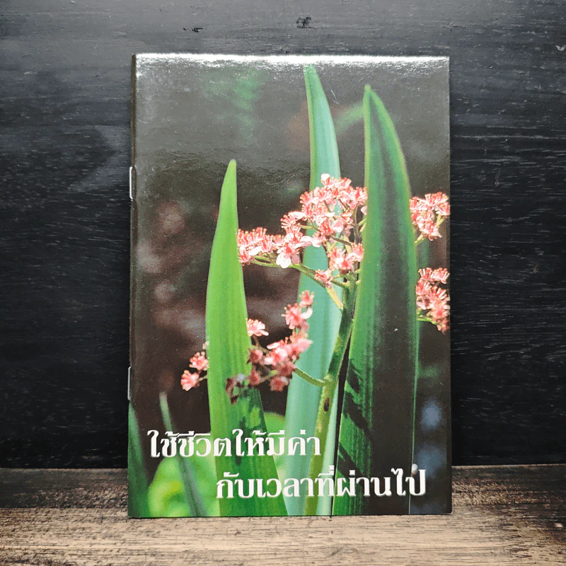 ใช้ชีวิตให้มีค่า กับเวลาที่ผ่านไป รูปที่ 1