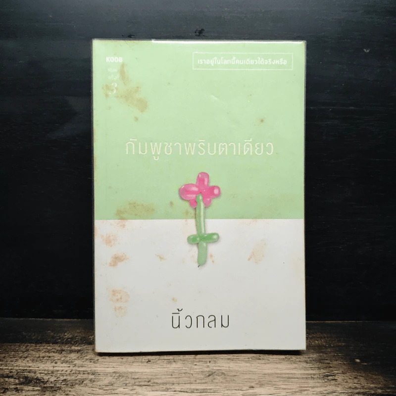 กัมพูชาพริบตาเดียว - นิ้วกลม รูปที่ 1