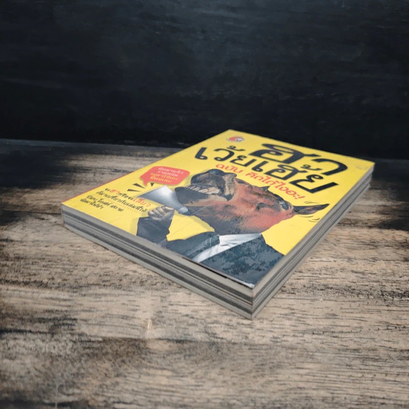 ฮาเว้ยเฮ้ย ฉบับ คิดได้ไงอะ - ป๊อบ โกสต์ สกาย รูปที่ 4