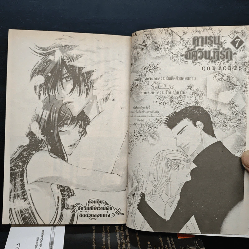 คาเรน อัศวินที่รัก 7 เล่มจบ - Mashin OSAKABE รูปที่ 6