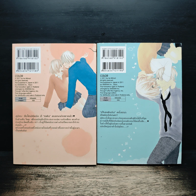 Color คัลเลอร์ 2 เล่มจบ - Ao Mimori รูปที่ 2