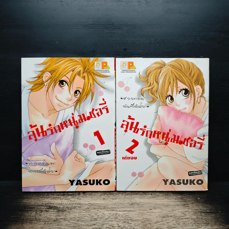 ลุ้นรักหนุ่มเชอรี่ 2 เล่มจบ - Yasuko รูปที่ 1