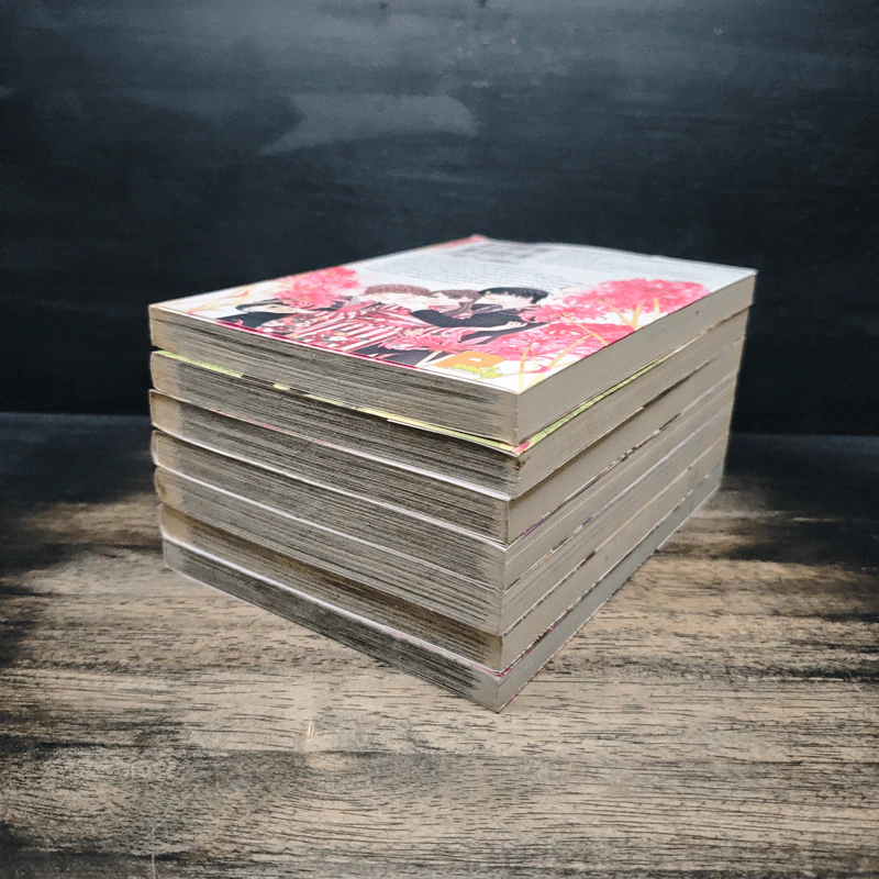 รักร้ายของนายบอดี้การ์ด เล่ม 1-7 รูปที่ 3