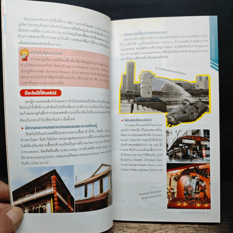 คู่มือเที่ยวตามใจชอบ สิงคโปร์ รูปที่ 8