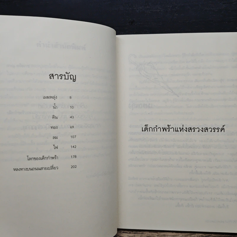 เด็กกำพร้าแห่งสรวงสวรรค์ - ภาณุ ตรัยเวช รูปที่ 7