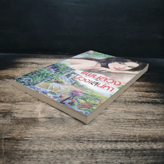 แผนลวงบ่วงเสน่หา - เพลงมีนา รูปที่ 4