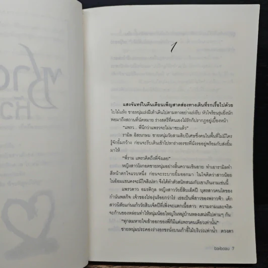 ซาตานหัวใจหิน - ใบบัว Baiboau รูปที่ 7