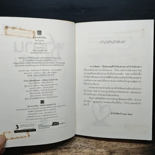 ซาตานหัวใจหิน - ใบบัว Baiboau รูปที่ 6