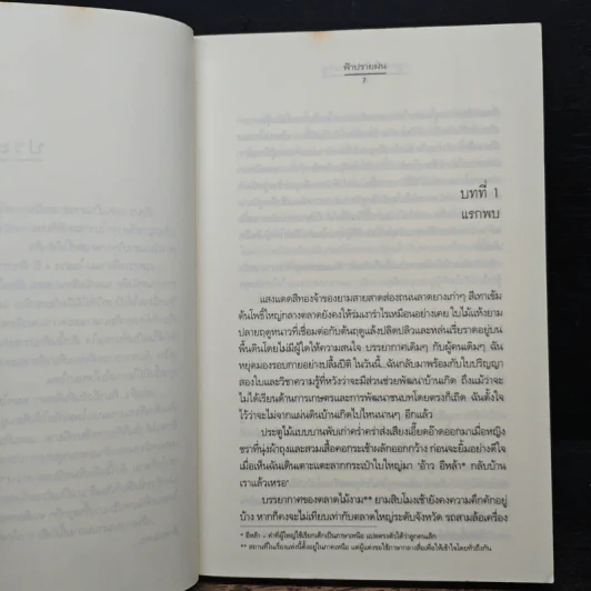 ปลูกหัวใจในสวนขวัญ - ฟ้าปรายฝน รูปที่ 7
