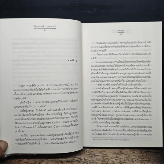 ร้อยมนตร์ กลเสกรัก - Andra รูปที่ 8